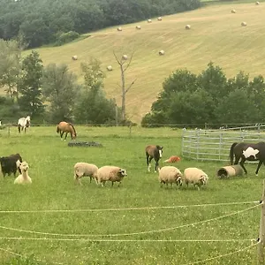 A La Ferme Avec Jacuzzi Et Piscine Chauffee Hébergement de vacances